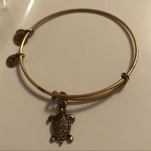 Alex and Ani Turtle Bracelet